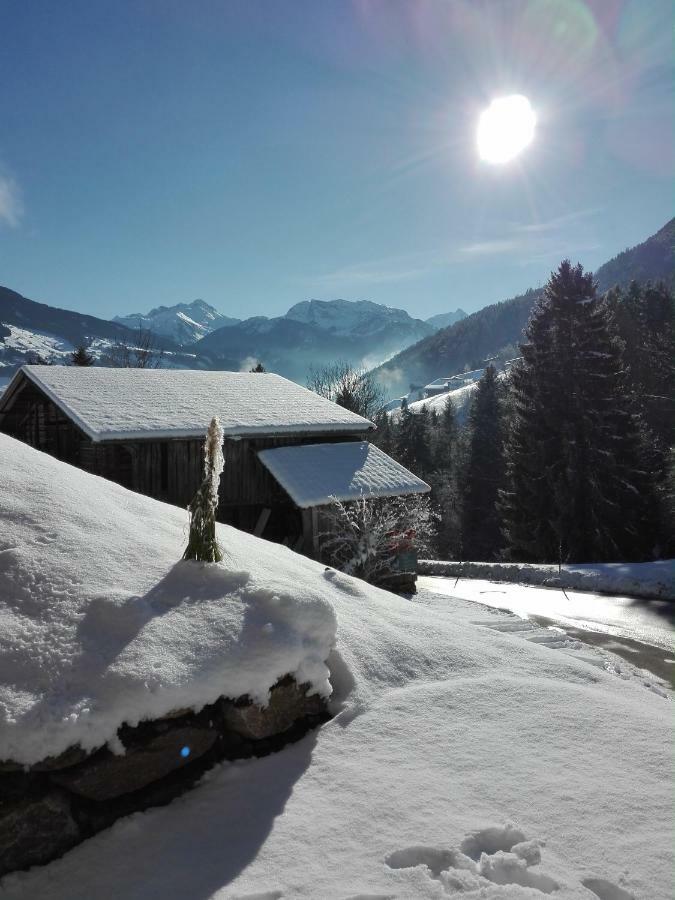 Apart Gerlossteinblick Aschau Im Zillertal Exteriér fotografie