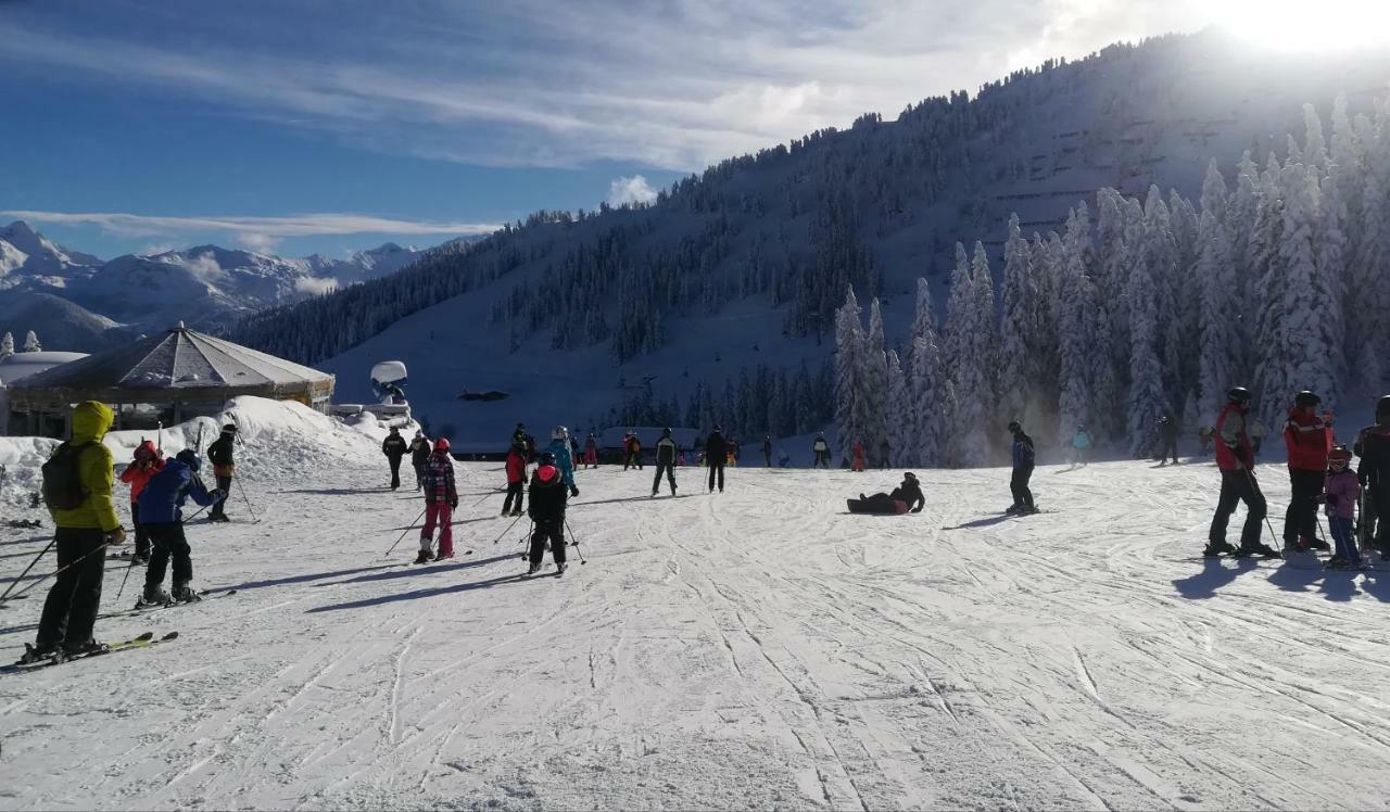 Apart Gerlossteinblick Aschau Im Zillertal Exteriér fotografie